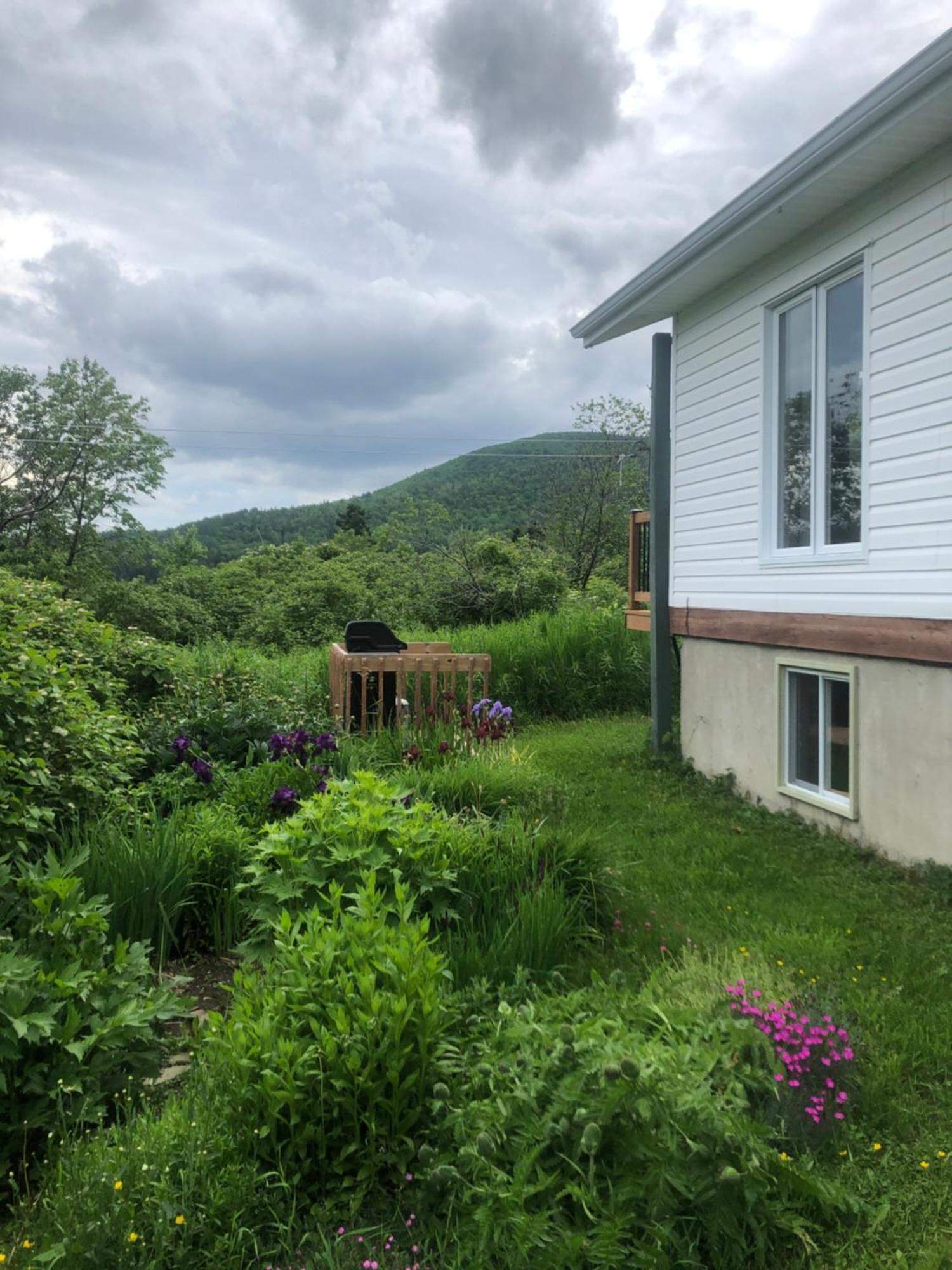 Chalets Les Chanterelles De Forillon L'Anse-au-Griffon Экстерьер фото
